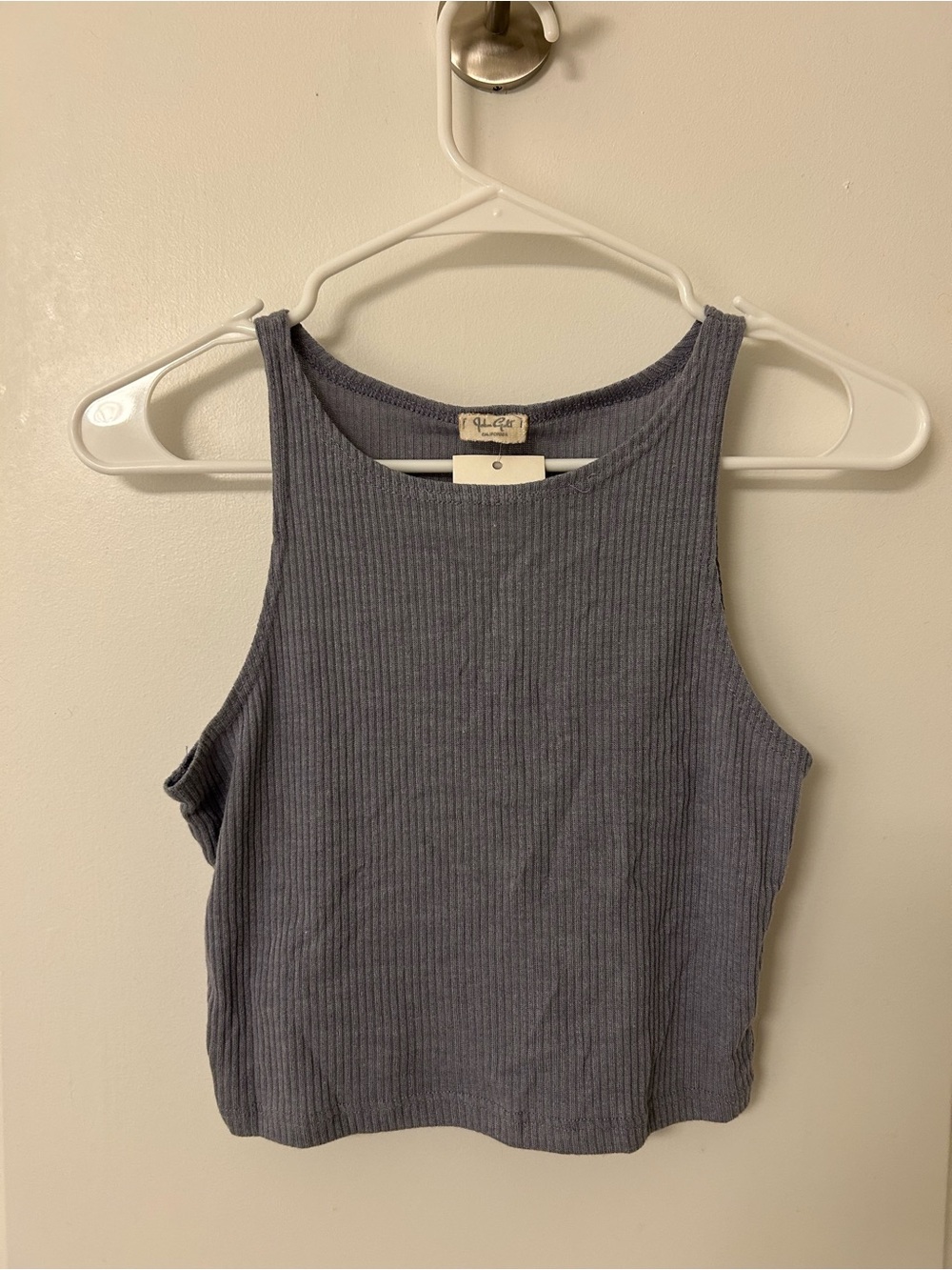 Brandy Melville Ribbed Cropped Tank — Slate Blue